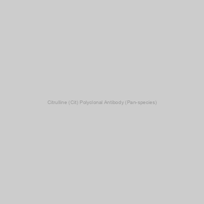 Cloud-Clone - Citrulline (Cit) Polyclonal Antibody (Pan-species)